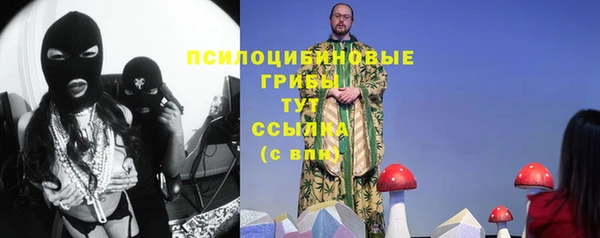 молекула духа Богородск