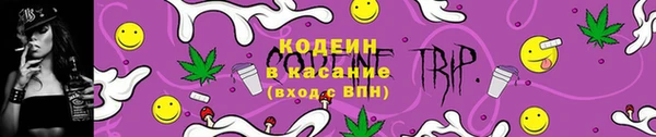 молекула духа Богородск