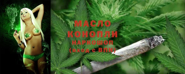 молекула духа Богородск
